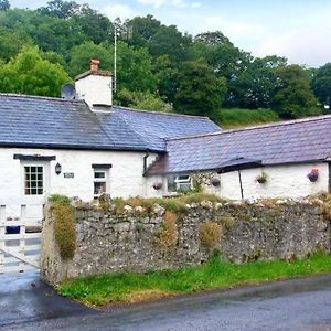 Gorrig Bwthyn Villa Tre-groes Exterior photo