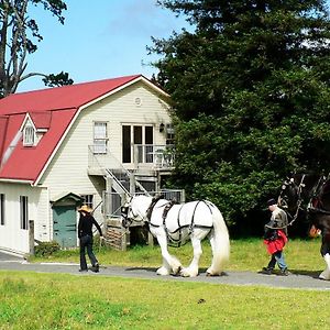 The Carriage House-Bay Of Islands Villa Kerikeri Exterior photo