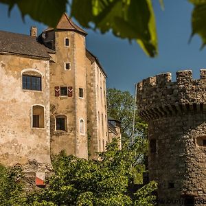 Burg Plankenstein Hotel Texing Exterior photo