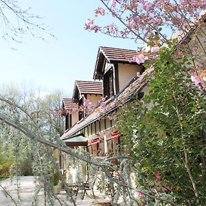 Chambres D'Hotes La Brilleve Lamotte-Beuvron Exterior photo