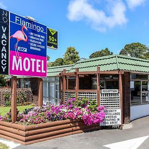 Flamingo Motel New Plymouth Exterior photo