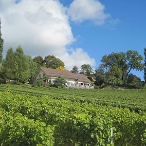 Domaine Beauregard Hotel Rolle Exterior photo