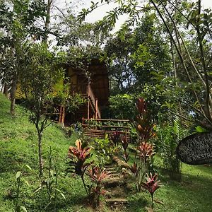 Estacion Paraiso De Dantas Bed & Breakfast San Rafael  Exterior photo