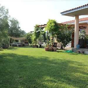 Appartamento In Villa Di Judighes Cerveteri Exterior photo