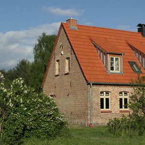 Ferienhaus Amalienhof Apartment Boek Exterior photo