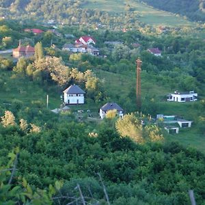 Cottage Poe Poienari Exterior photo