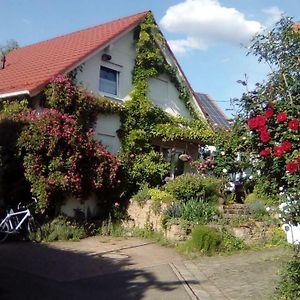 Moebliertes Zimmer, Pluederhausen Apartment Pluderhausen Exterior photo