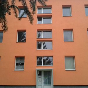 Natur-Freude-19P Apartment Kotzen Exterior photo