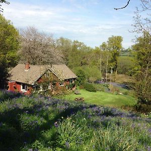 B&B Higher Quantock Stockland Exterior photo