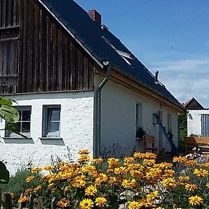 Zum Storchennest Hotel Kemnitz  Exterior photo