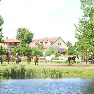 Gospodarstwo Kaczynski Ostroleka Villa Wyszel Exterior photo