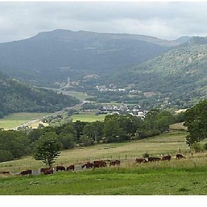 Vacances Au Pied Des Monts Du Cantal Apartment Laveissiere Exterior photo