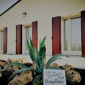 Agriturismo Honey Farm Bed & Breakfast Piazzola sul Brenta Exterior photo