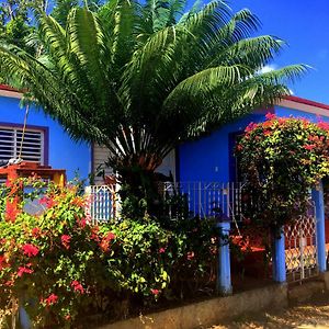 Casa Morejon Hotel Vinales Exterior photo