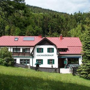 Landhaus Gschaiderhof Apartment Puchberg am Schneeberg Exterior photo