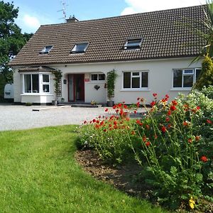 Twin Oaks Bed & Breakfast Bed & Breakfast Kilkenny Exterior photo