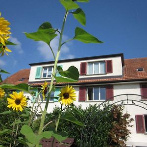 Ruhiges Gaestezimmer Apartment Winterthur Exterior photo