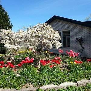 Mini-Apartment In The Flowerbed Soborg Exterior photo