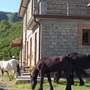 Agriturismo Il Capitano Villa Floresta Exterior photo