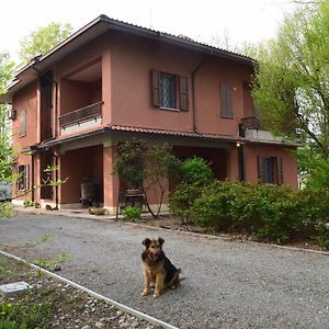 Gambisa Street Hotel Soliera Exterior photo