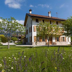 Lioelara Hotel Feltre Exterior photo