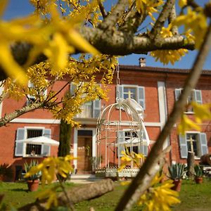 Bed & Tours Dimora Di Campagna Bed & Breakfast Castelnuovo Belbo Exterior photo