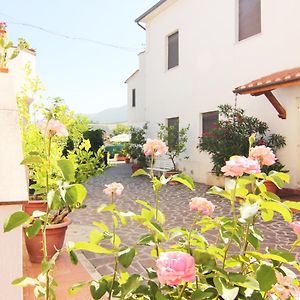 Hotel Boni Cerri Spoleto Exterior photo