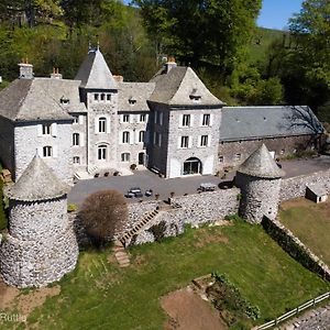 Chateau Du Puech Bed & Breakfast Curieres Exterior photo