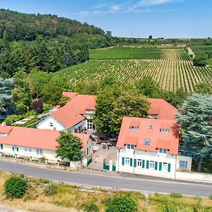 Hotel Annaberg Bad Duerkheim Exterior photo