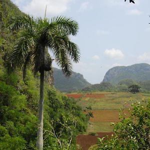 El Naranjo Hotel Vinales Exterior photo