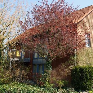 Gaestehaus/Fewos/Boardinghaus Lueneburg Sued Hotel Exterior photo