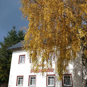 Villa Plischke Lipova Lazne Exterior photo