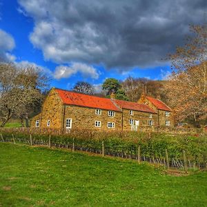 Park House Bed & Breakfast Ingleby Arncliffe Exterior photo