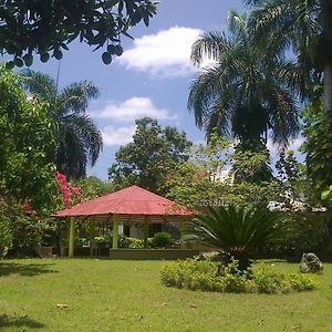 Los Palmares Guest House & Eventos San Cristobal Exterior photo