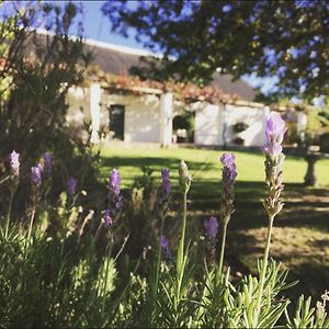 Heiveld Farm Cottages Ceres Exterior photo