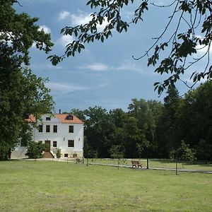 Palacyk Lakomin Hotel Lubiszyn Exterior photo