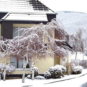 Gemuender Ferienwohnpark Salzberg Hotel Exterior photo