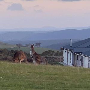 Rooks Edge Bed & Breakfast Gisborne Exterior photo